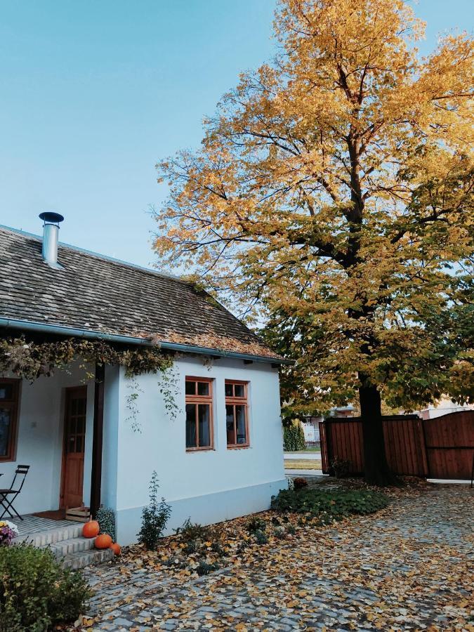 Ethno&Coffee House Tulip Bed and Breakfast Glozan Eksteriør billede